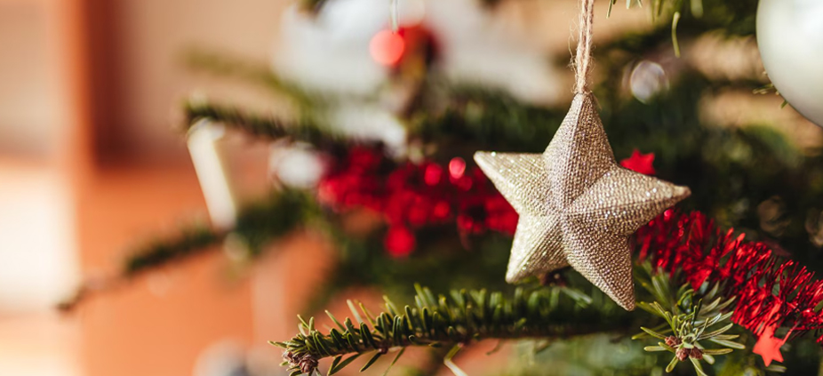 Tempos de Natal